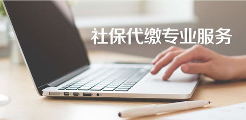 成都北门无形资产审计收费低