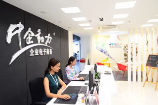 青年视角 互联网时代下的商务信息咨询